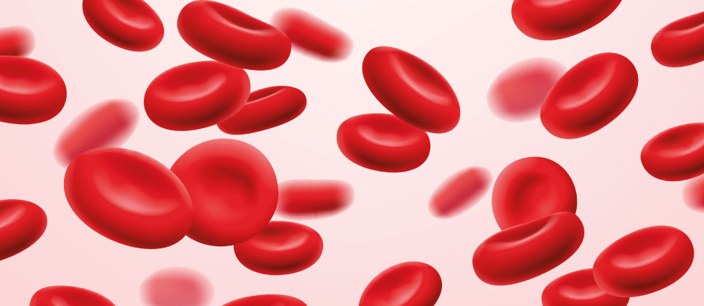 Red blood cells